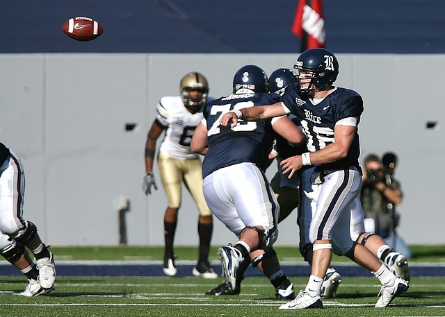 帕斯则凭借 帕斯则凭借