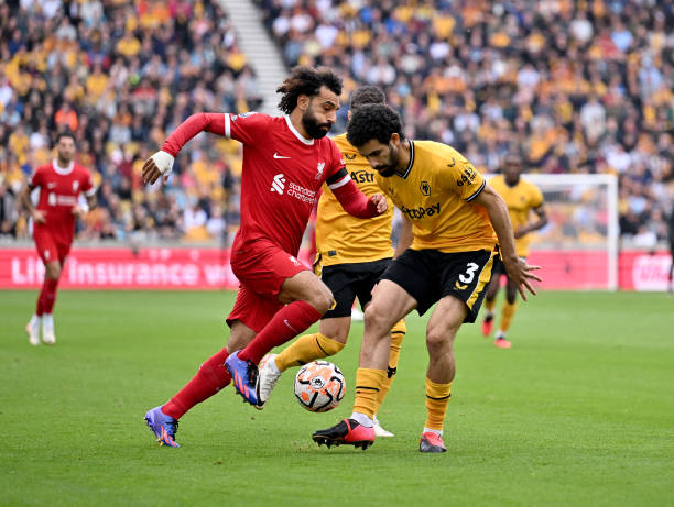 国际化视野 国际化视野