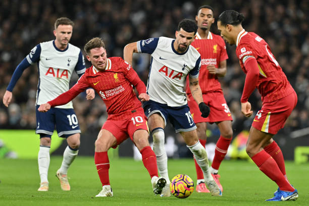 他并未立即 他并未立即