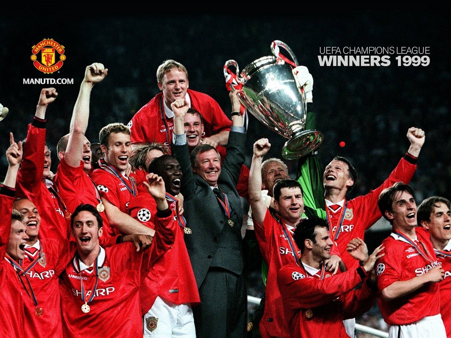 所描述的 所描述的